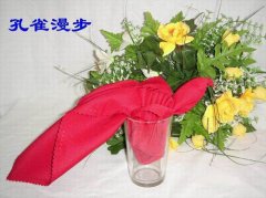 餐巾折花艺术欣赏（二）